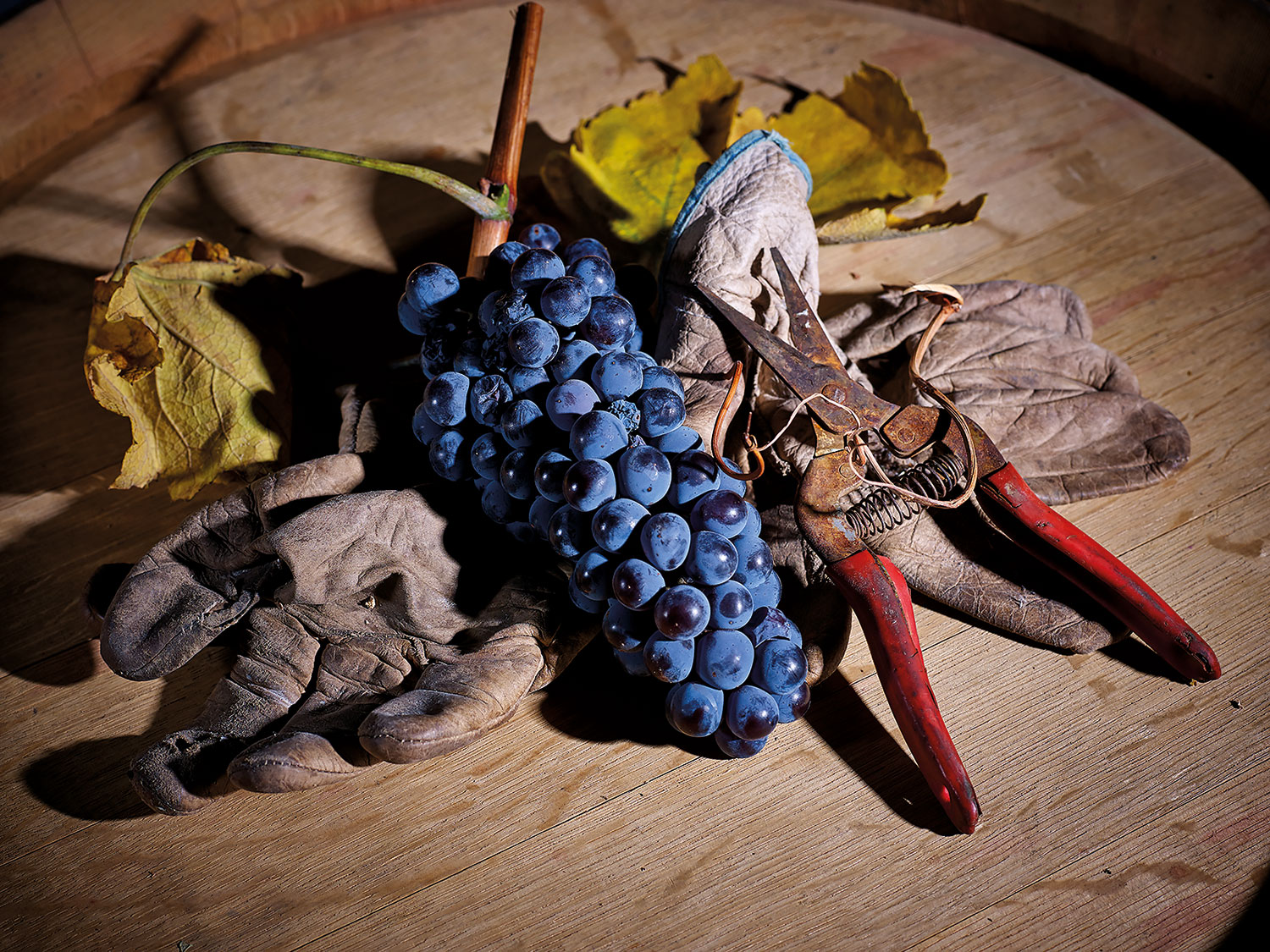 Pizzini Nebbiolo Fruit