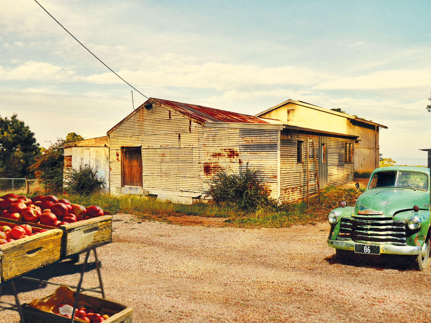 Apple orchard shed, Paringa Road