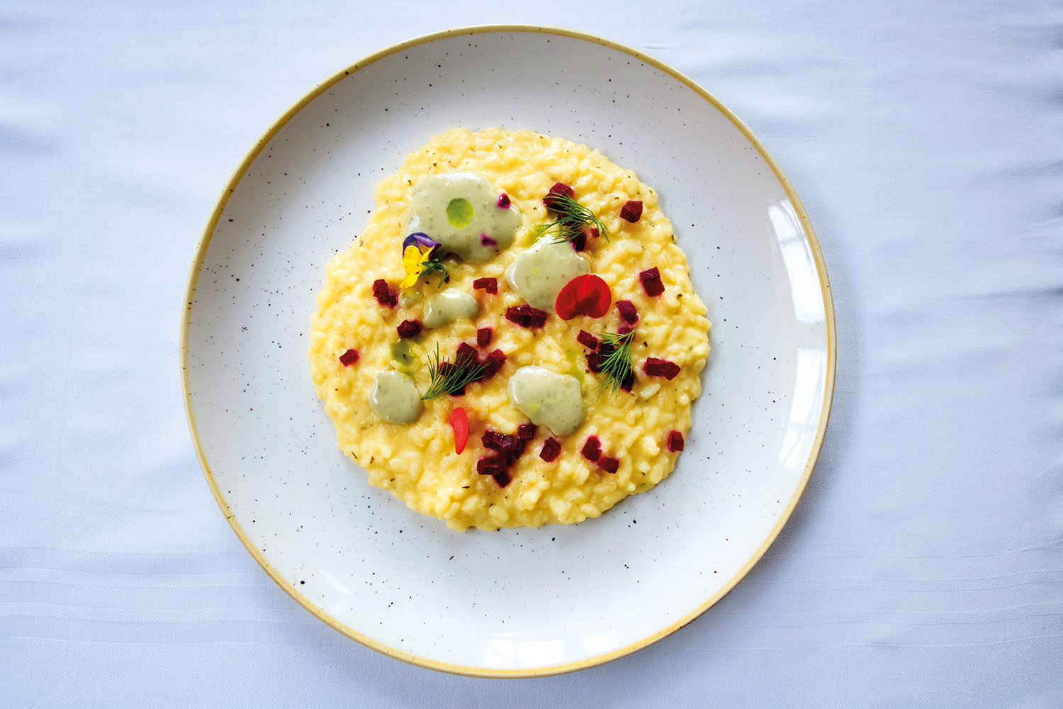 Beetroot Risotto, golden beetroot cream, gorgonzola fondue