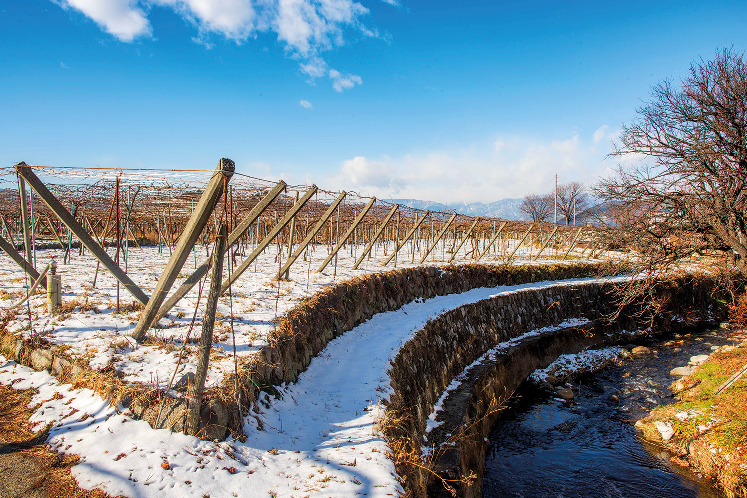 Winter view: Katsunuma Winery