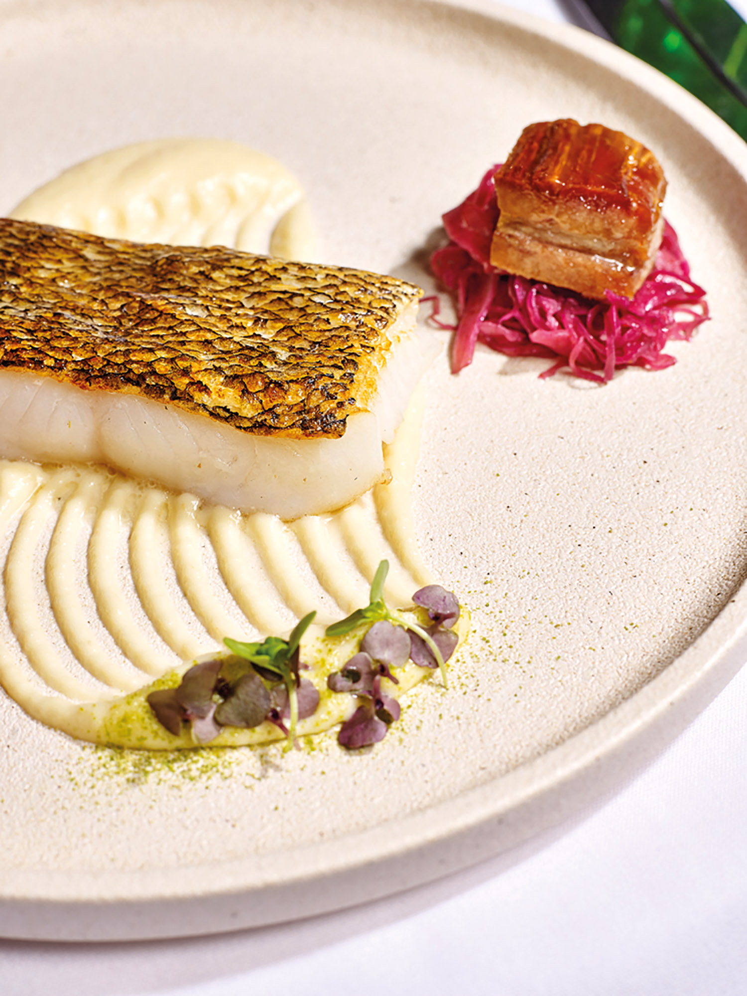 Roasted Glacier 51 Toothfish with pork belly and picked red cabbage