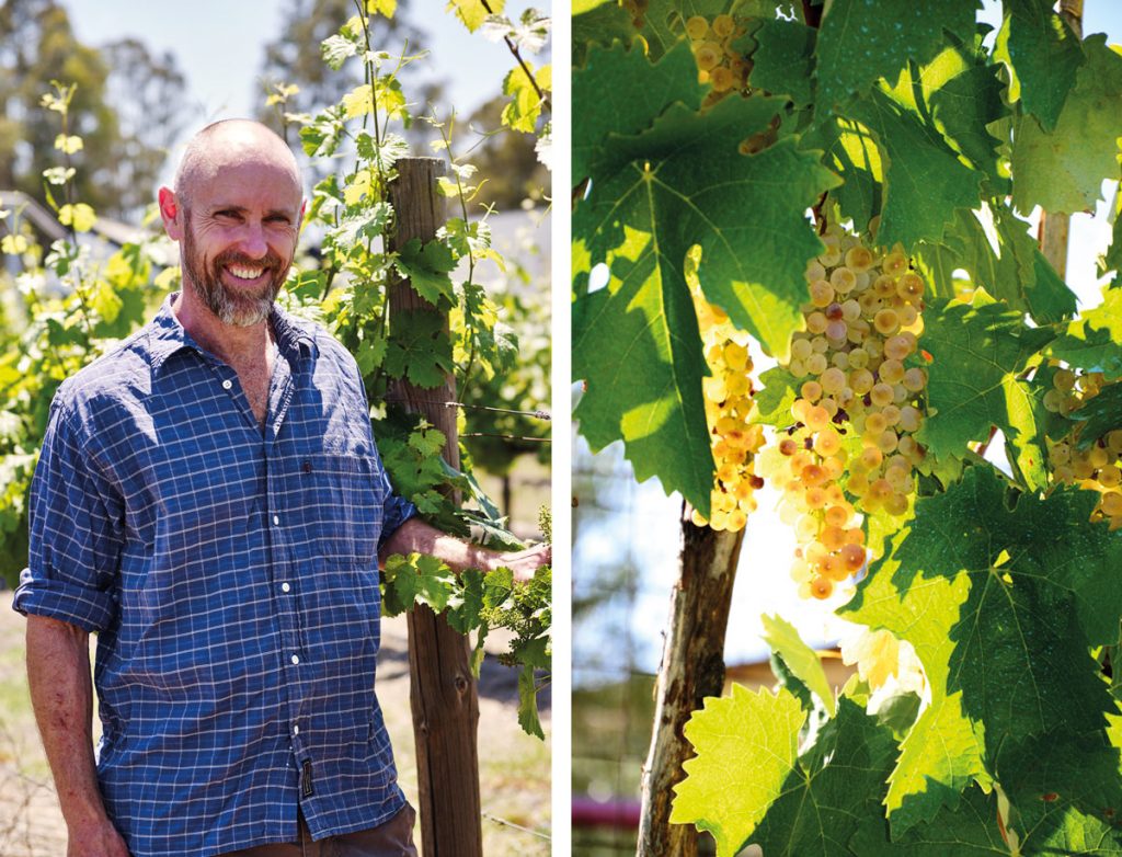 Central Victorian winemaker Matt Kilby is one to watch