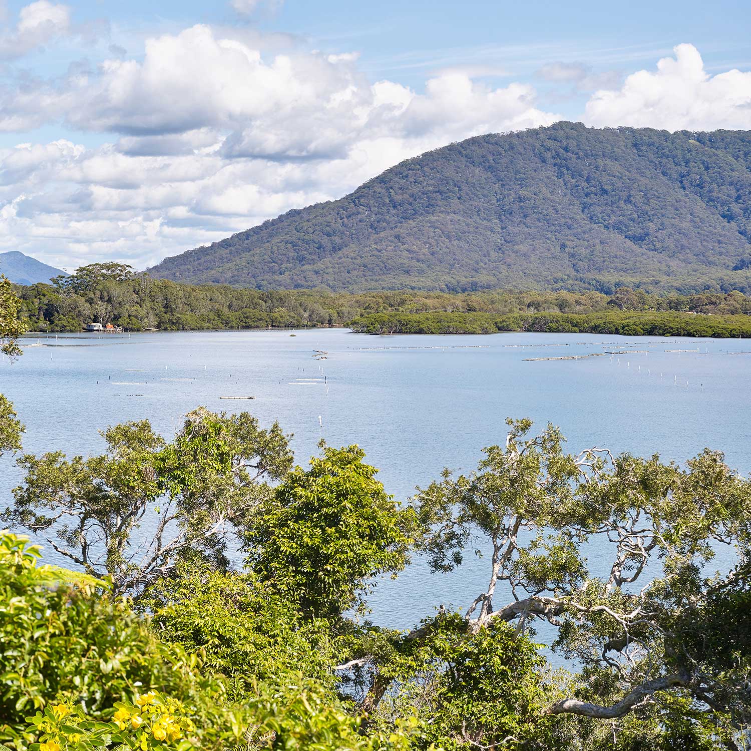 Dunbogan’s Gogleys Lagoon