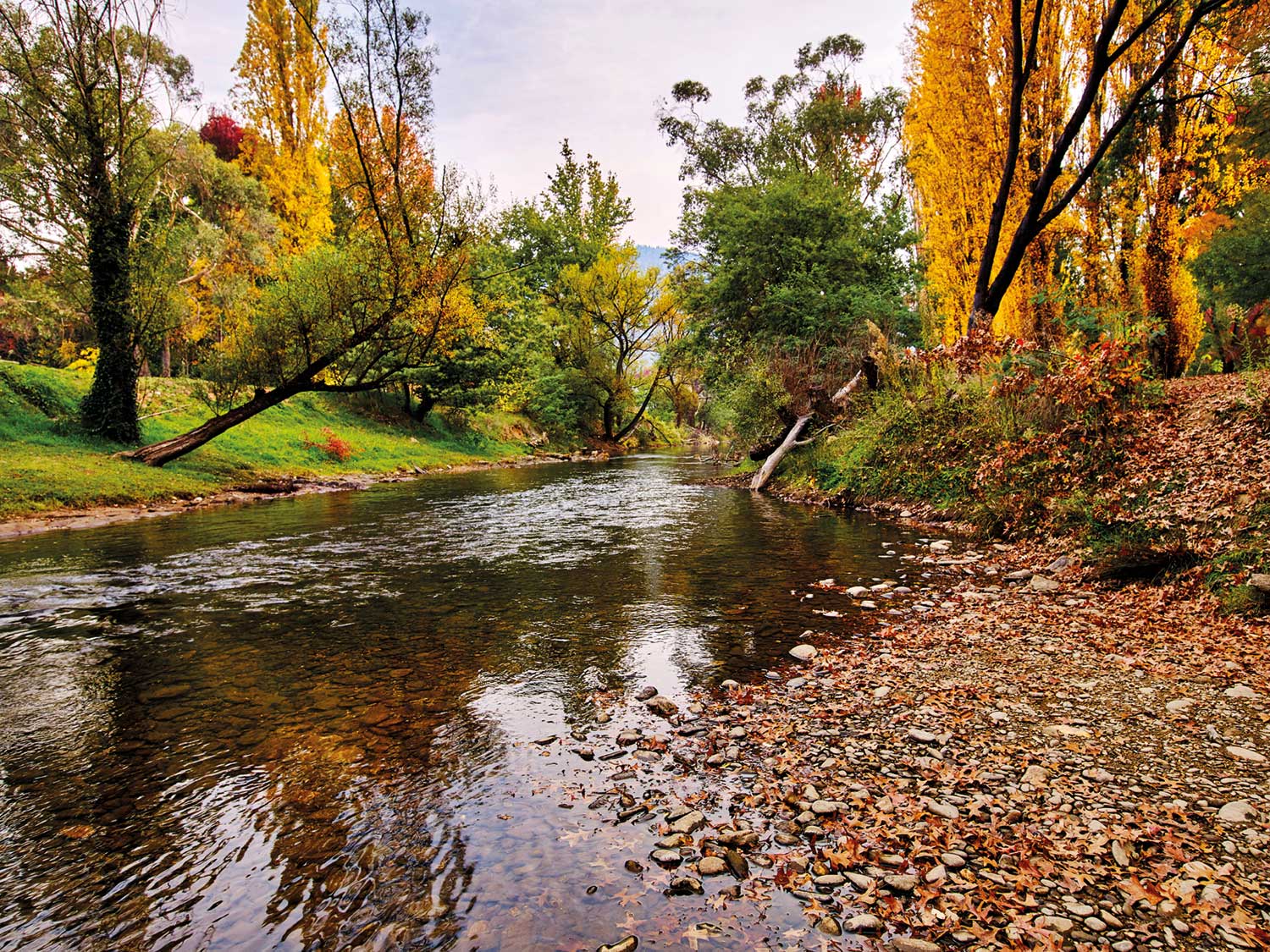 The Ovens River and Bright’s Canyon Walk is at your door step