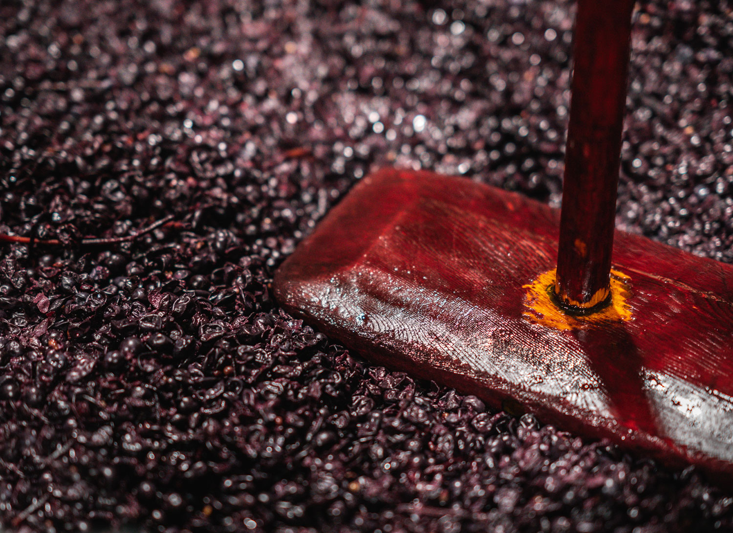 Plunging ferments at Cassegrain Wines