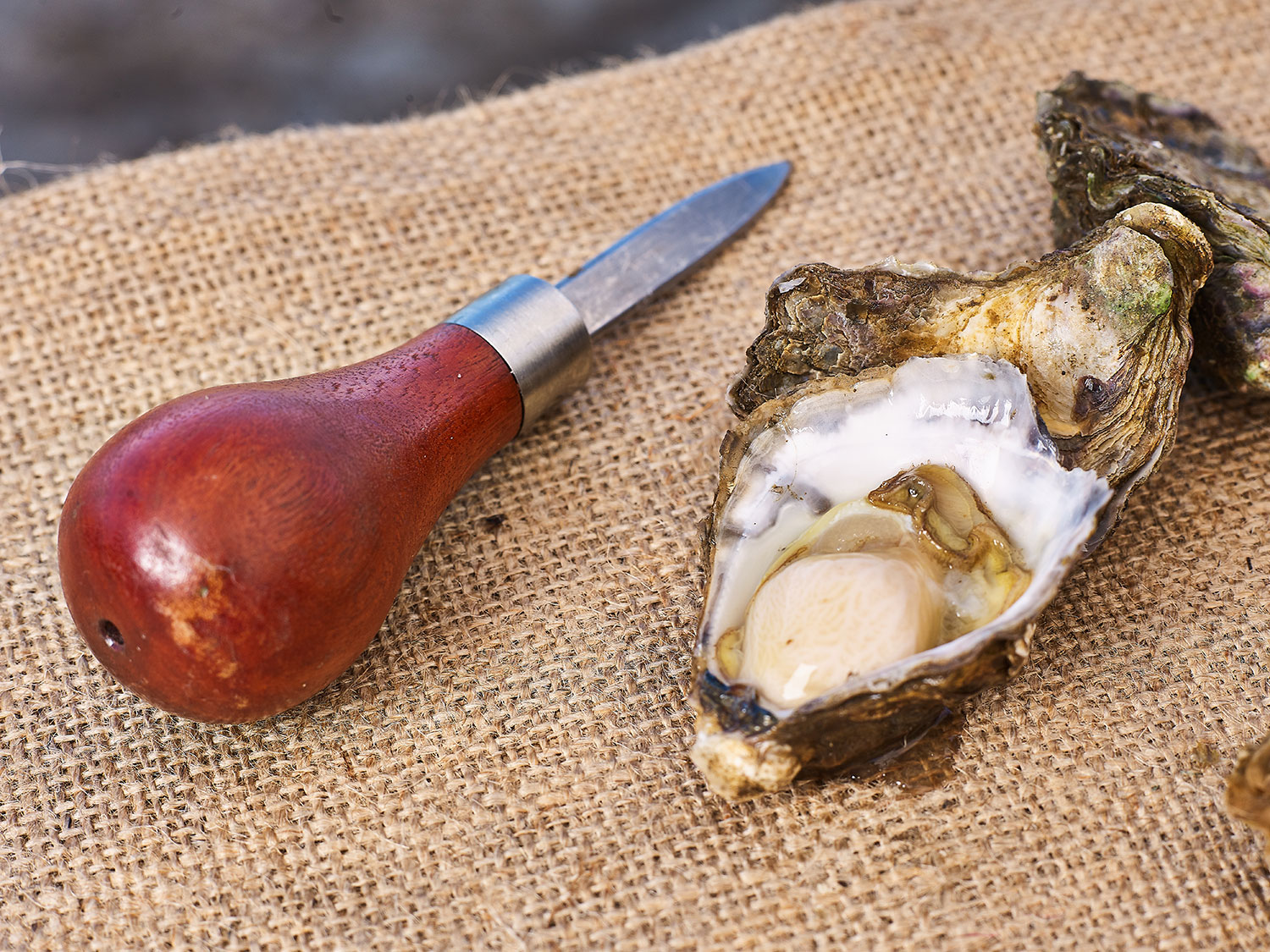 Nothing beats the quality and purity of freshly-shucked Australian oysters