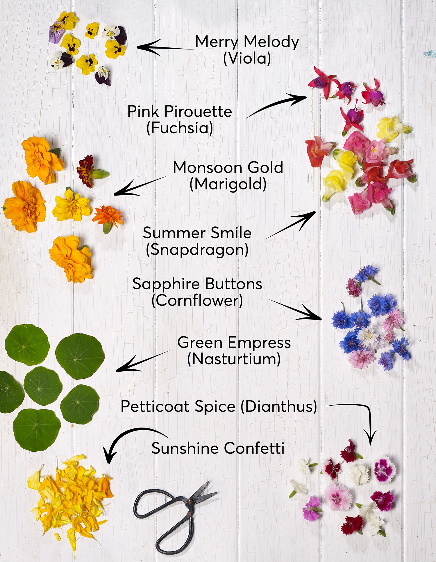 Flowerdale Farm - a guide to edible flowers