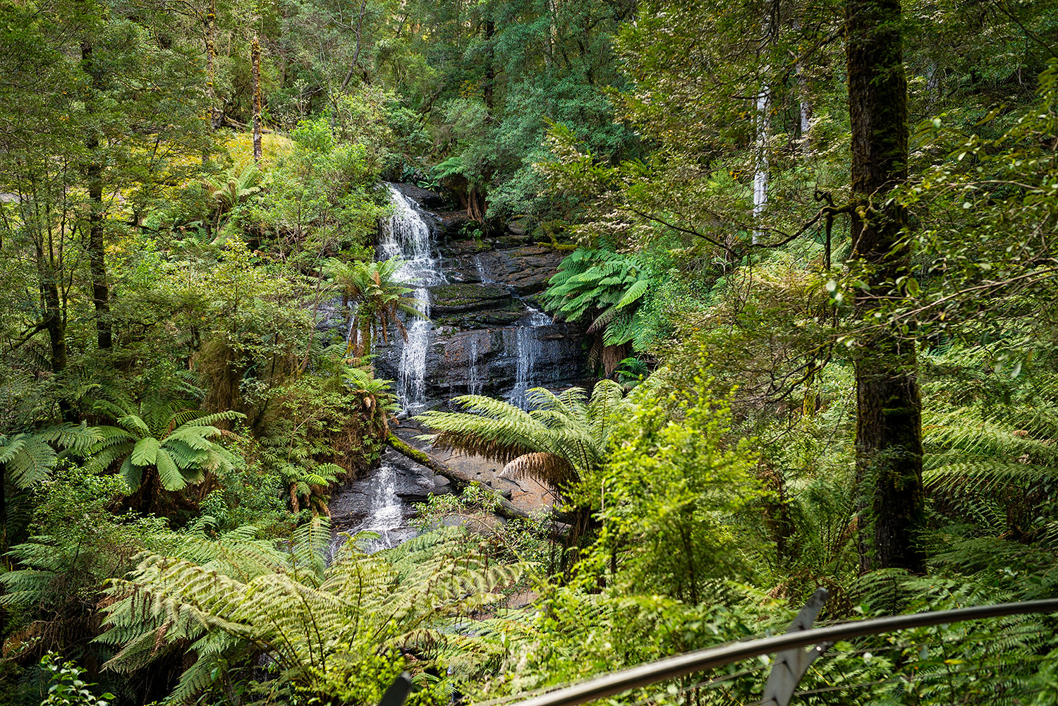Triplet Falls, Great Otway National Park, Victoria