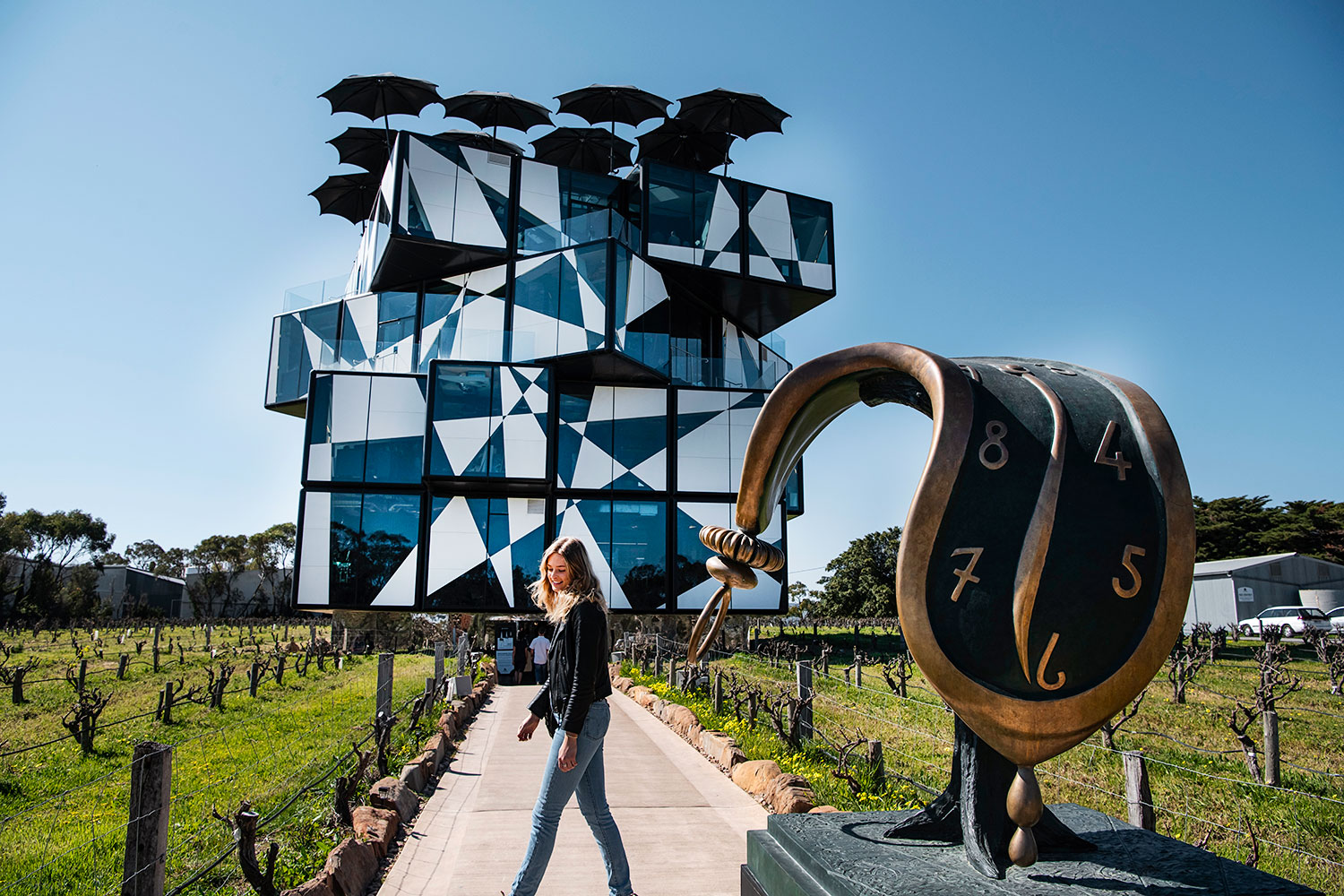 Step inside the d'Arenberg Cube with chief winemaker and innovator, Chester Osborn, who pairs wine and art.