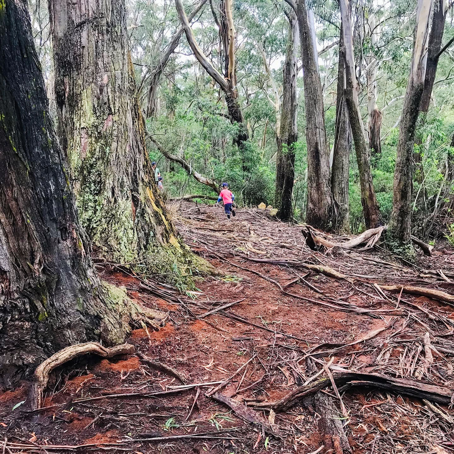 Exploring local wilderness - photo Anabel Dean