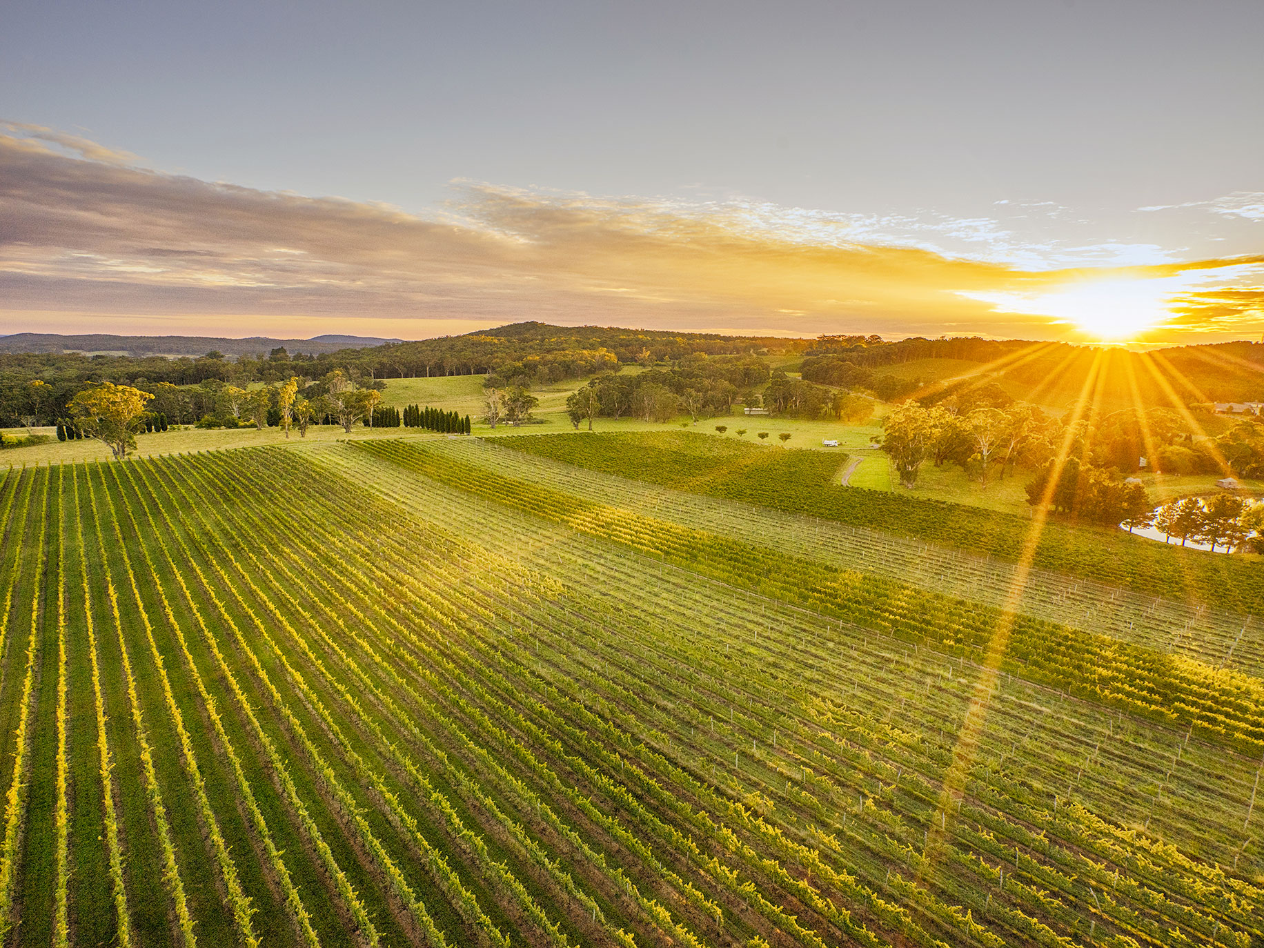 Scenic country views surrounding Centennial Vineyards, Bowral in the Southern Highlands region - photo Destination NSW 